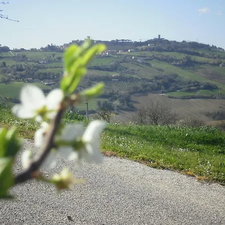 Casale Casa di campagna *
