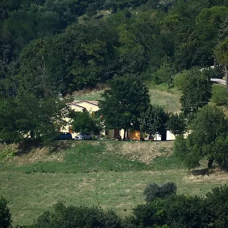 Casale *