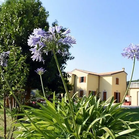 Casale Casa di campagna Montesicuro