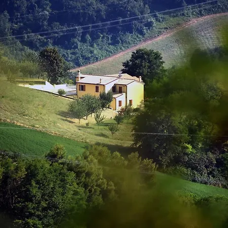Casale *
