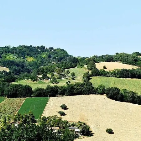 Casale *